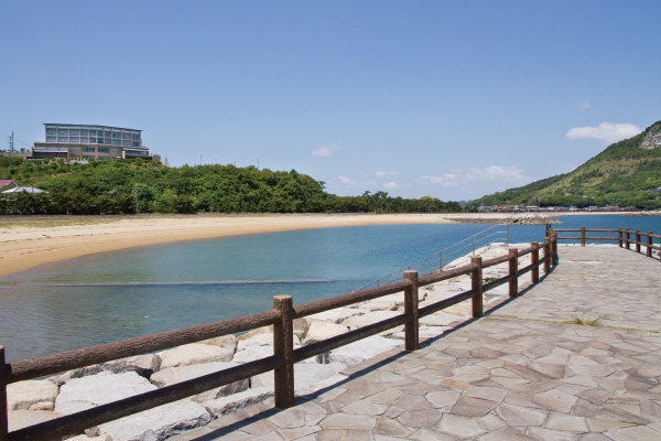 浜辺の光を浴びて