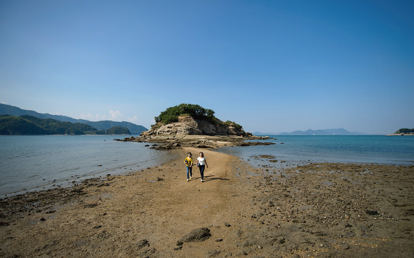 アクティブ家族の楽天地