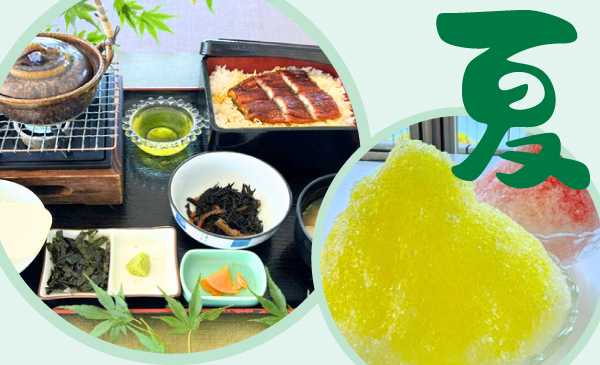 期間限定メニュー